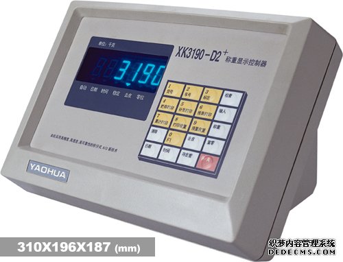 耀华XK3190—D2+称重仪表
